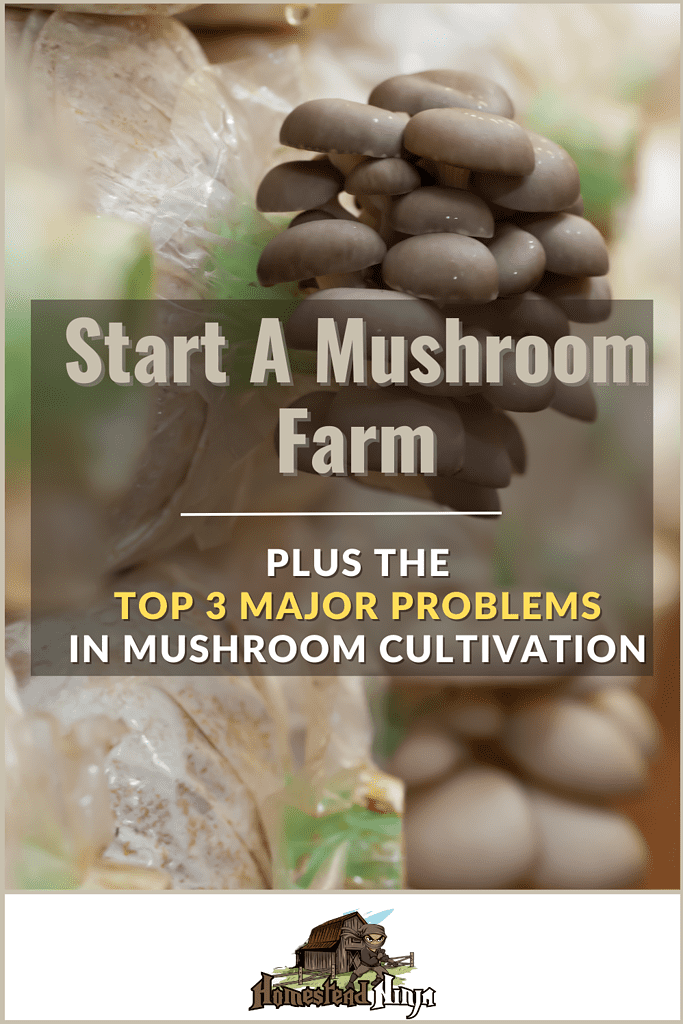 Start A Mushroom Farm - Pinterest