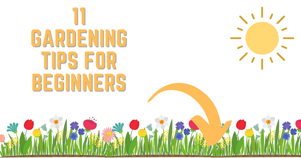 11 Gardening Tips For Beginners
