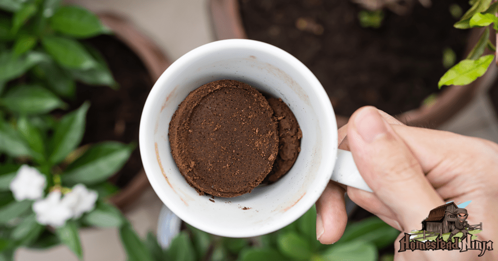 Are used coffee grounds good for plants