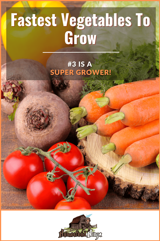 Fastest Vegetables To Grow - Pinterest