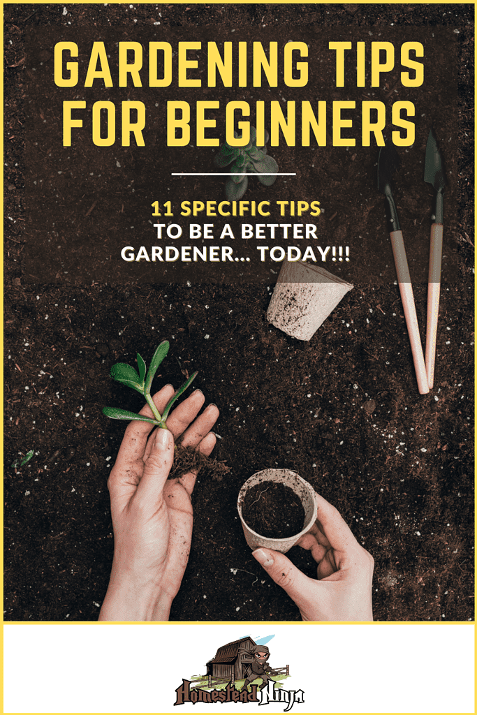 Gardening Tips For Beginners-Pinterest