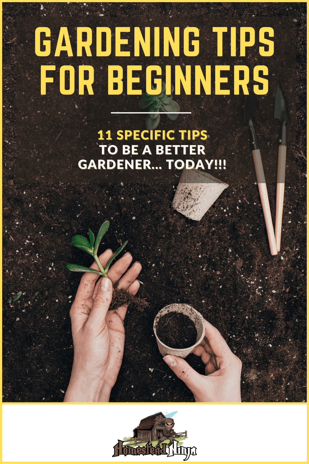 Gardening Tips For Beginners