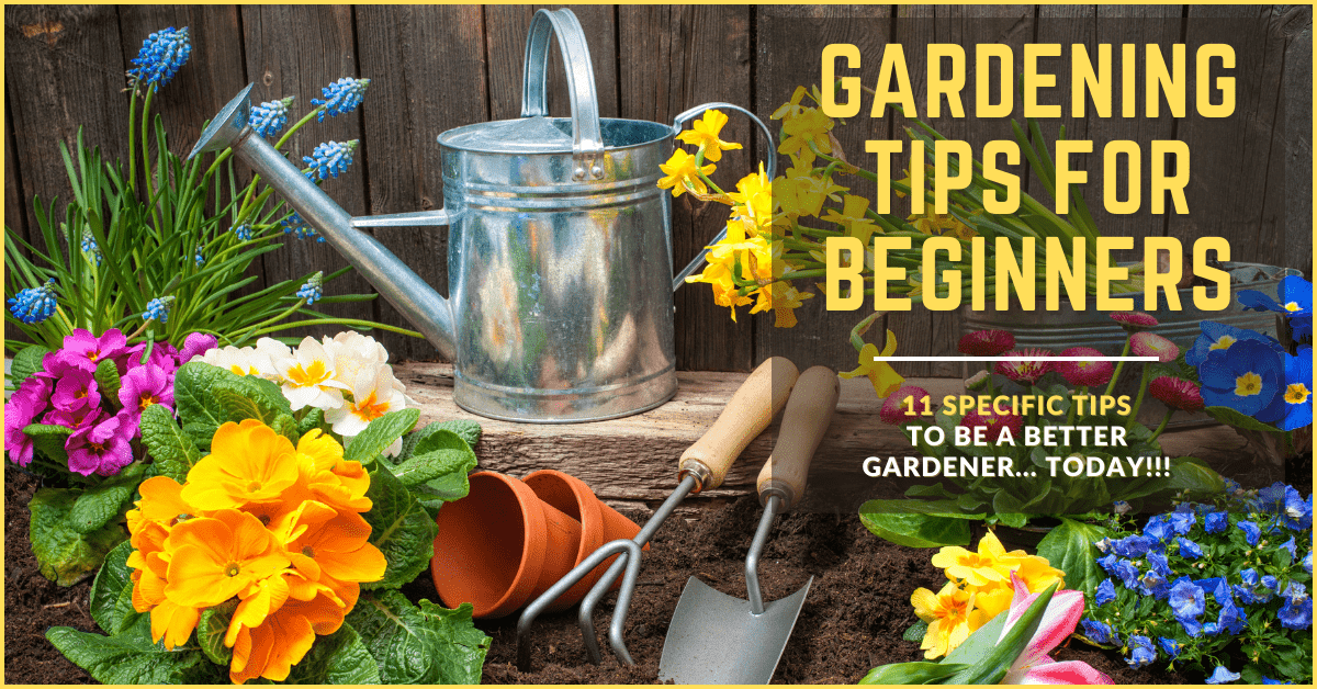 Gardening Tips For Beginners