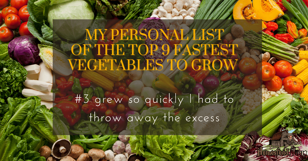 My Personal List Of The Top 9 Fastest Vegetables To Grow