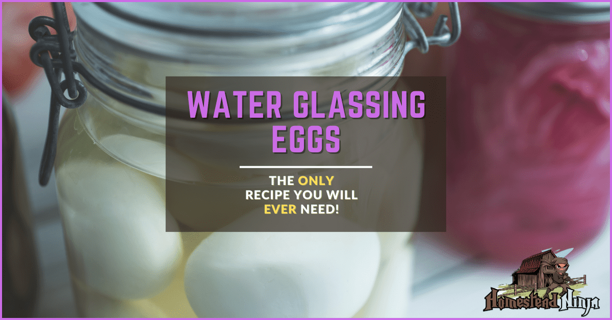 Water Glassing Eggs