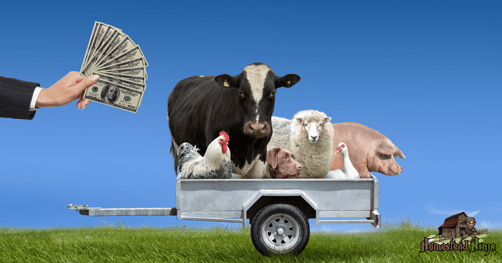 What Farm Animals Make Most Money