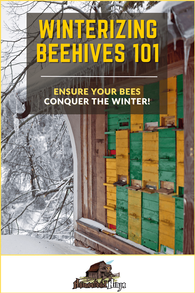 Winterizing Beehives - Pinterest