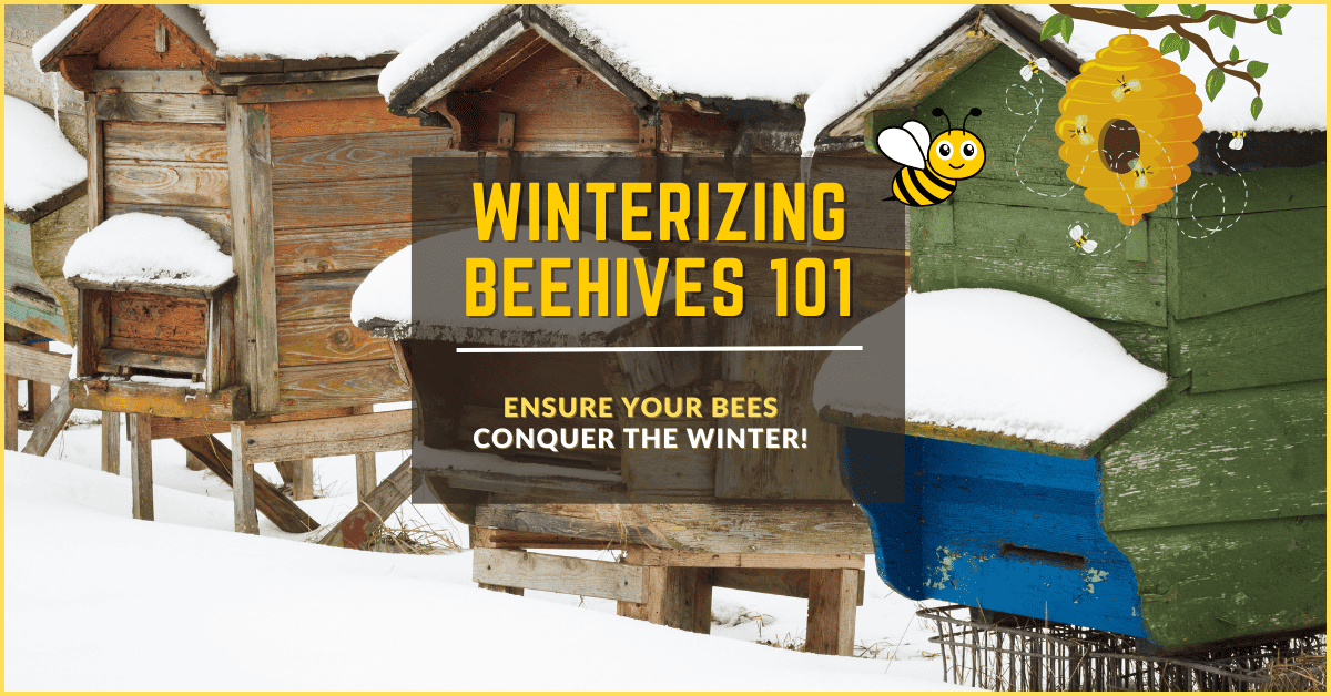 Winterizing Beehives