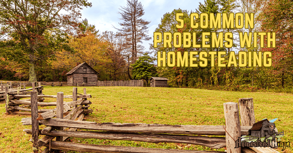 5 Common Problems with Homesteading