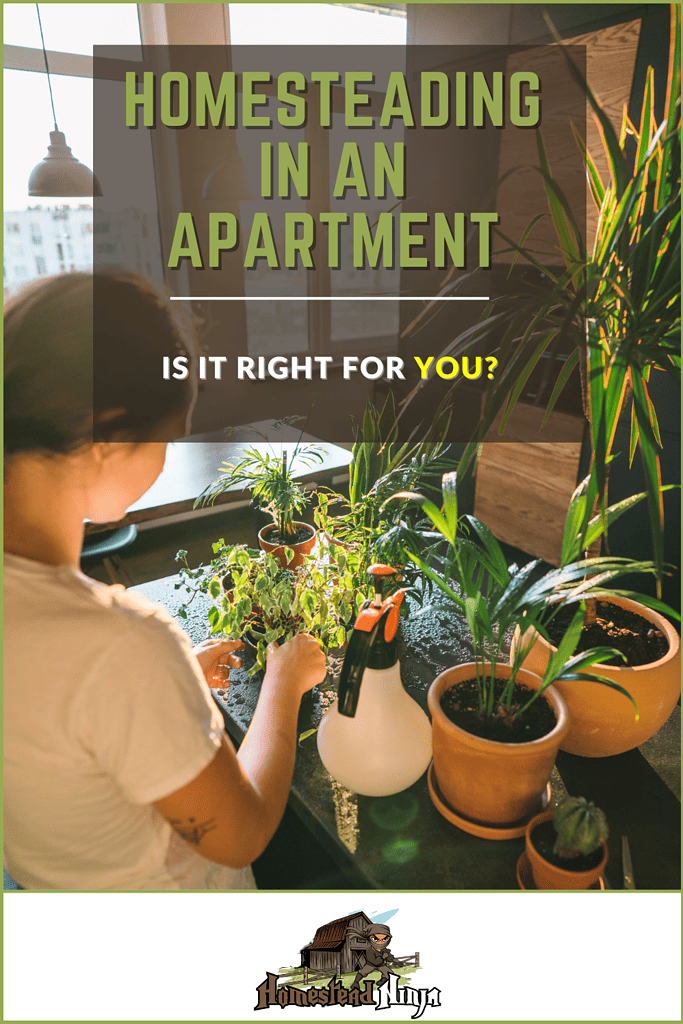 Homesteading In An Apartment - Pinterest