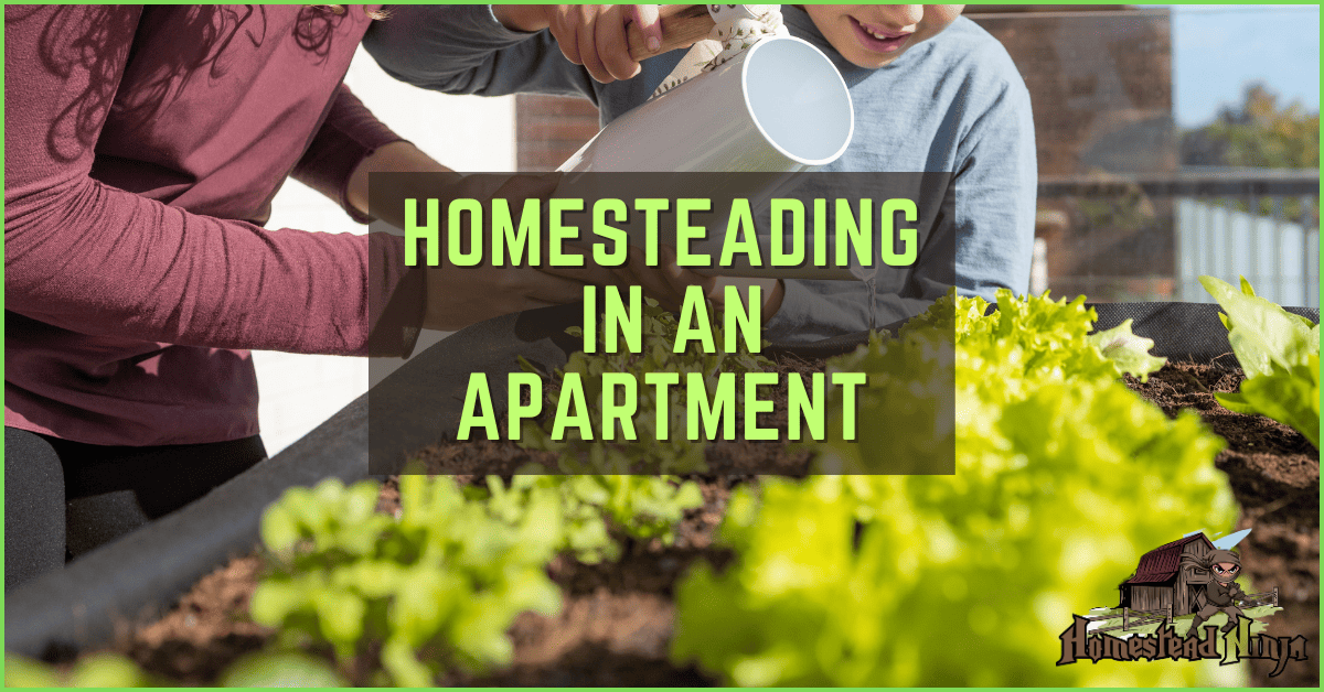 Homesteading In An Apartment