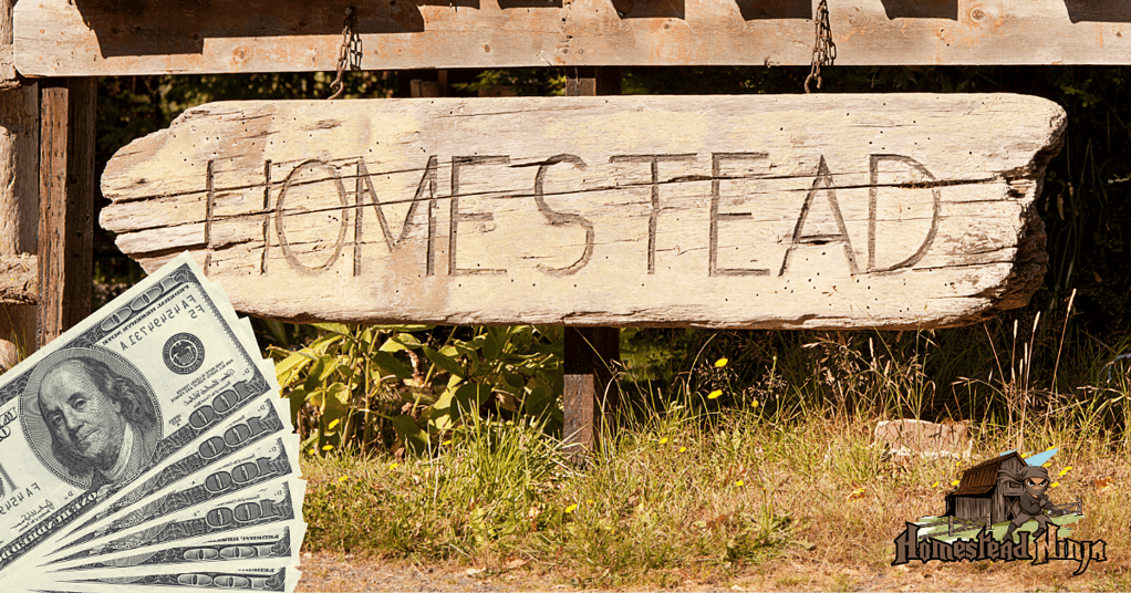 Is it expensive to live in a homestead