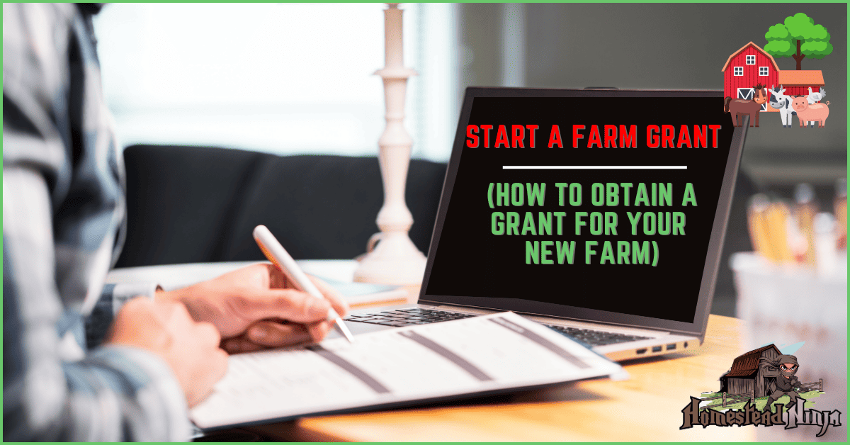 Start A Farm Grant (how to obtain a grant for your new farm)