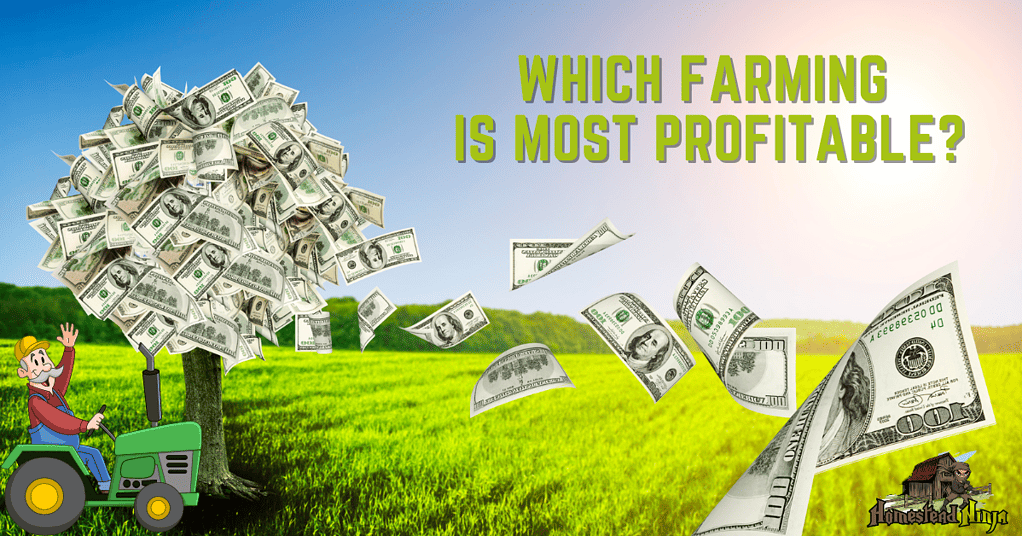 Which Farming Is Most Profitable
