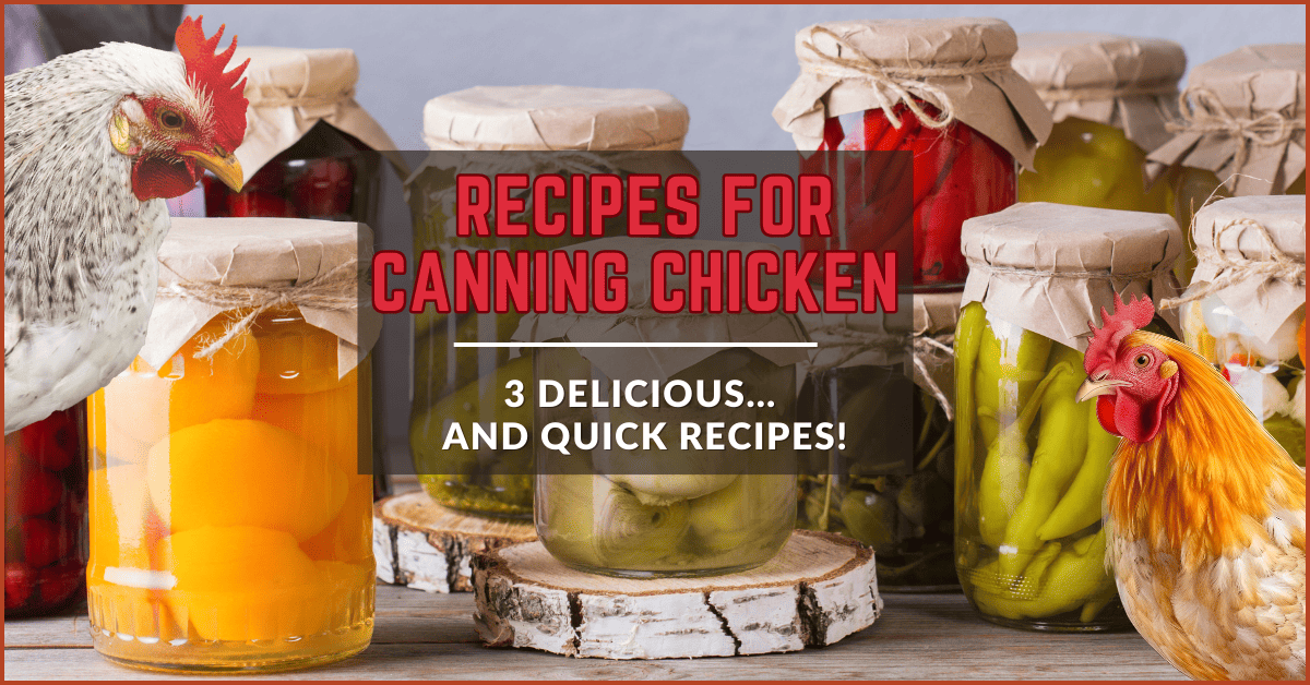 Recipes for Canning Chicken