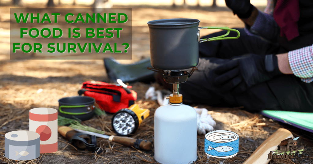 What canned food is best for survival