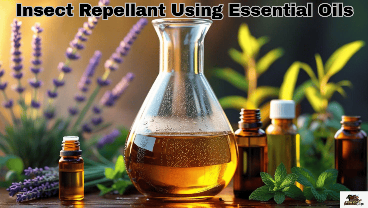 Natural Bug Defense: DIY Insect Repellant Using Essential Oils