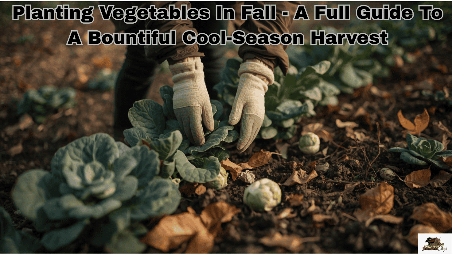 Planting Vegetables In Fall - A Full Guide To A Bountiful Cool-Season Harvest
